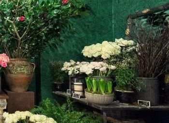 Студия цветов / высокий трафик/проходное место