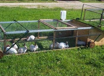 Фермерское хозяйство в собственность с домом