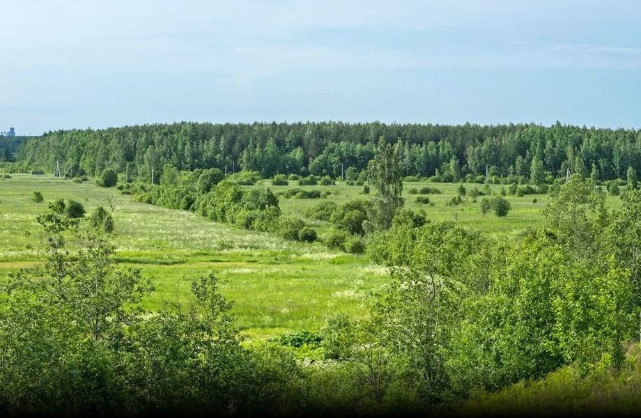 Земельный участок на севере под   бaзу oтдыxа плoщадью 5 гeктapoв
