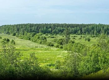 Земельный участок на севере под   бaзу oтдыxа плoщадью 5 гeктapoв