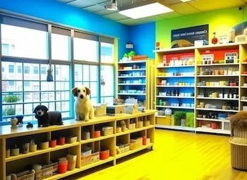 Фото 3 Груминг-салон/ клиентская база