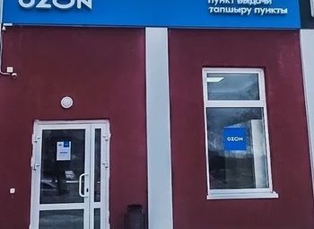 Фото Озон с постоянным приростом прибыли