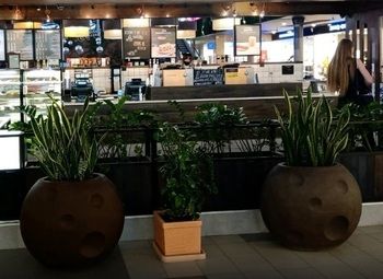 Фото 2 Островок в ТРК с посадочными местами