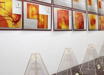 Фото 1 Выставка натуральных янтарных инклюзов с окупаемостью 4 месяца