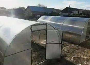 Животноводческая ферма с крупными контрактами