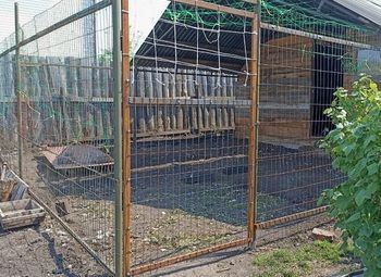 Фото Животноводческая ферма с крупными контрактами
