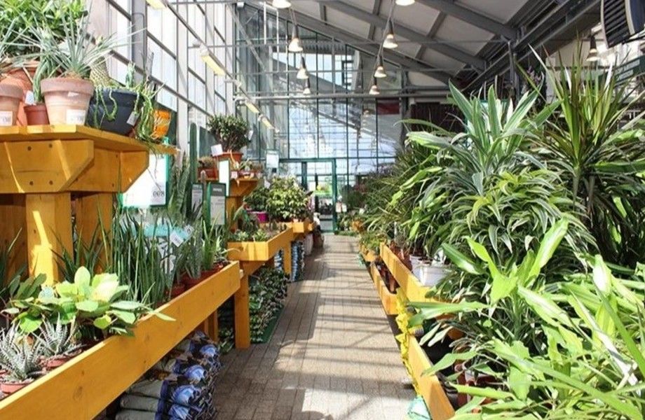 Фото 3 Интернет-магазин по продаже саженцев