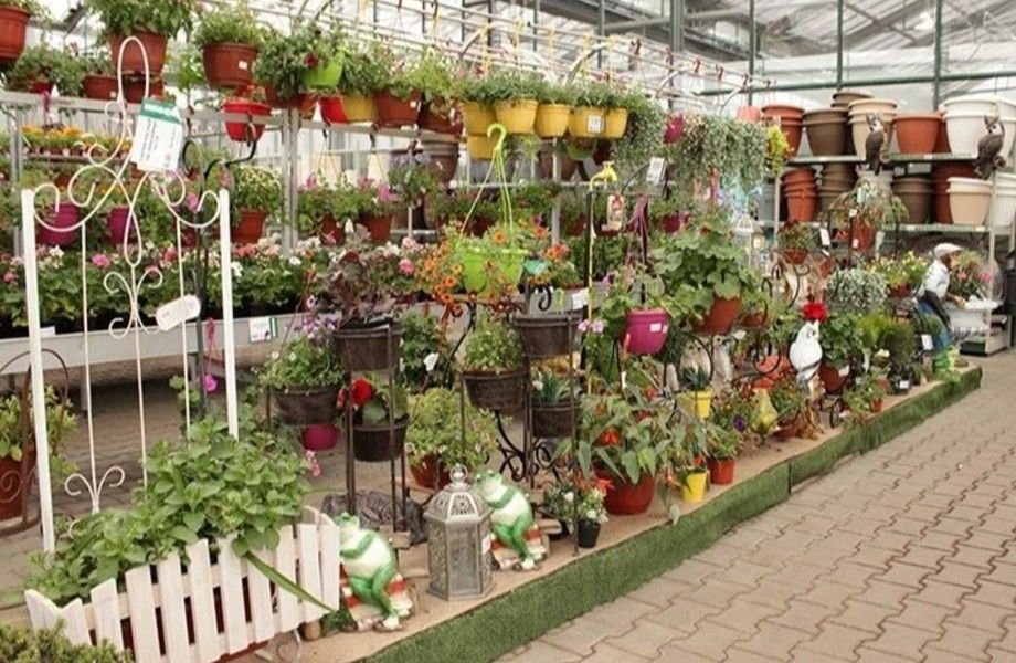 Фото 1 Интернет-магазин по продаже саженцев