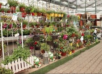 Фото Интернет-магазин по продаже саженцев