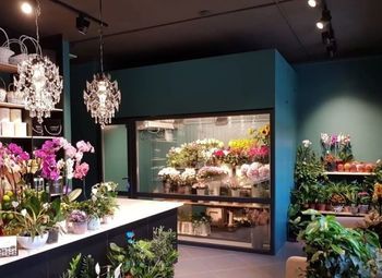 Цветочный магазин /высокий трафик