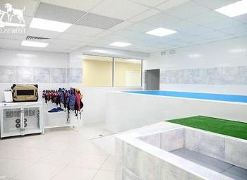 Ветеринарная клиника полного цикла с МРТ