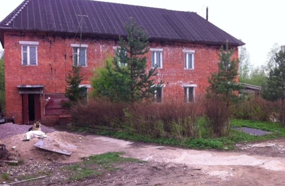 Фото 5 Глубокая переработка Леса (Полный цикл)