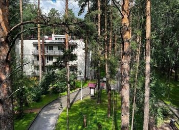 Отель с рестораном в лесу на берегу реки.