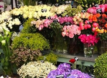 Цветочный магазин /Центр
