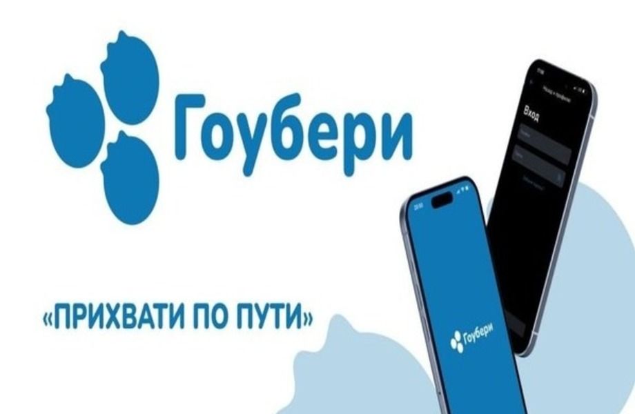 Фото 3 Мобильное приложение "Гоубери" - сервис для доставки посылок