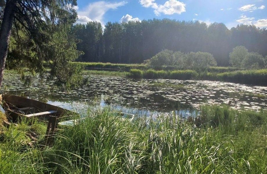 Фото 1 Пионерский лагерь в живописном спокойном месте