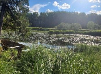 Фото 1 Пионерский лагерь в живописном спокойном месте