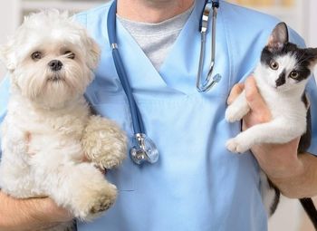 Ветеринарная клиника на 6 кабинетов с новым оборудованием на Юге 