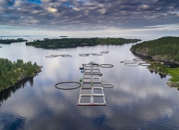 Фото Форелевая ферма около Петрозаводска.