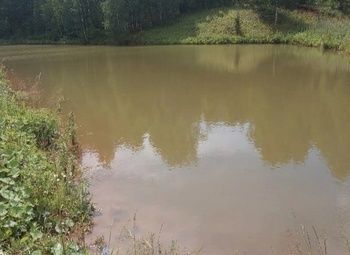 Фото 3 Круглогодичная турбаза рыбалка/квадроциклы/снегоходы
