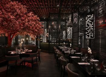 Кафе в ЮЗАО / С кухней полного цикла 