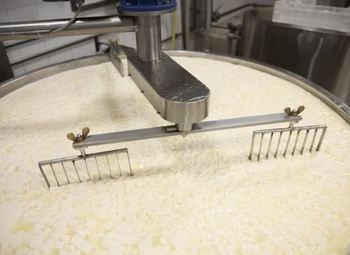 Производство сыра с настроенными каналами реализации (срочно)