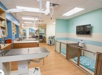 Фото Новая ветеринарная клиника с аптекой и зоомагазином
