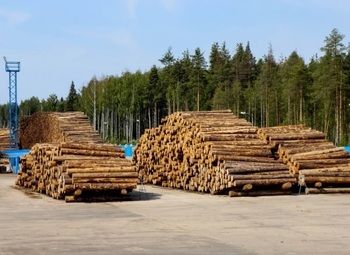 Фото 2 Деревообрабатывающее предприятие в Московской области