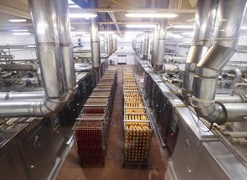 Мясокомбинат полного цикла с землей в собственности