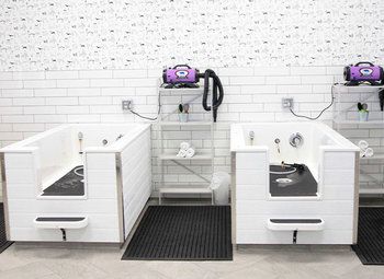 Груминг на первой линии