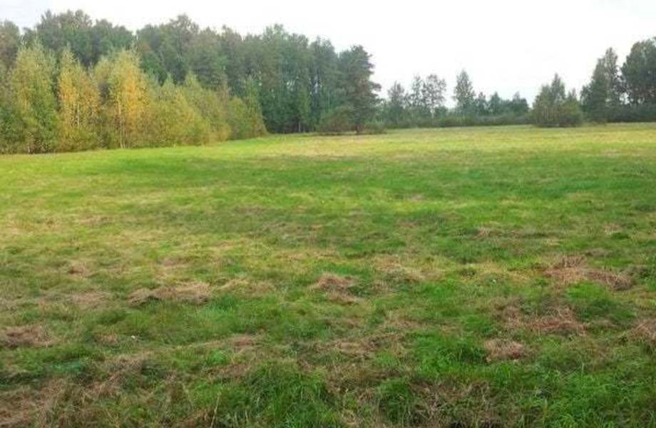 Фото 3 Земельный участок 8 Га на берегу озера
