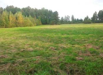 Земельный участок 8 Га  на берегу озера