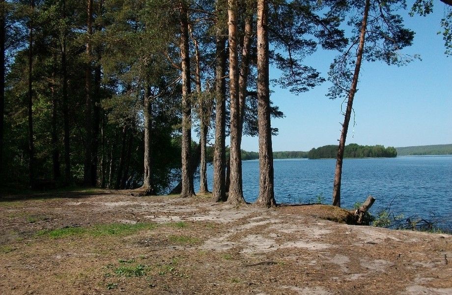 Фото 2 Земельный участок 8 Га на берегу озера