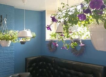 Кафе-пицца с большим меню / Доставка