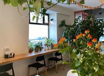 Пышечная / инновационные технологии выпечки 