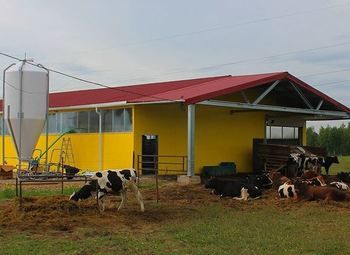 Ферма 1 Га / сельхоз назначение земли