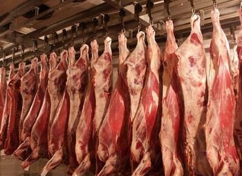 Фото 2 Цех по переработки мяса говядины
