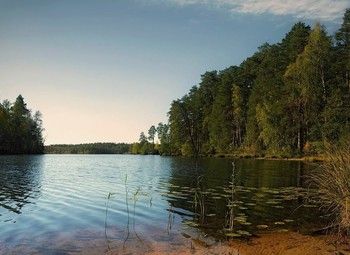 Фото 4 Турбаза, глемпинг более 25 Га у озера