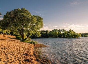 Фото 4 База отдыха в ближайшем пригороде Санкт Петербурга у воды