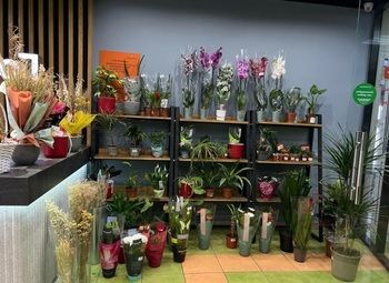 Фото 2 Действующий цветочный магазин без конкурентов с низкой арендой