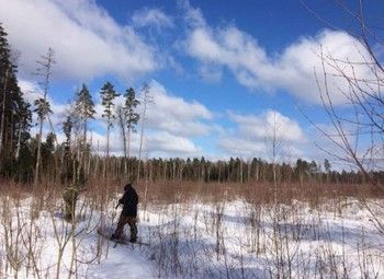Охотничье угодье в Карелии 