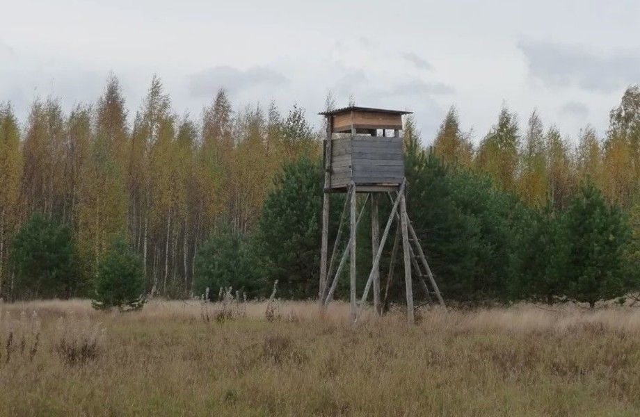 Фото 2 Охотничье угодье в Карелии