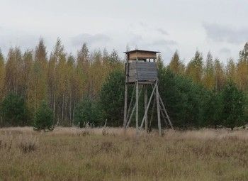 Охотничье угодье в Карелии 