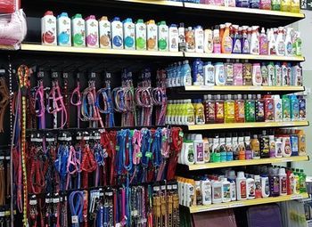 Фото Сеть зоомагазинов с подтвержденной прибылью