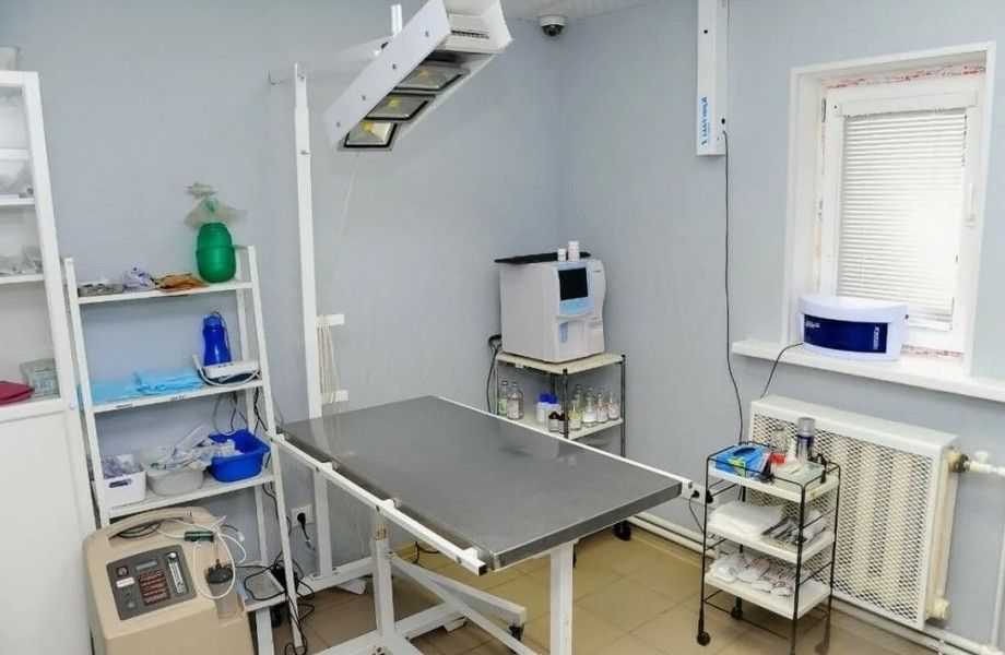 Фото 3 Ветеринарная клиника в центре у новых застроек