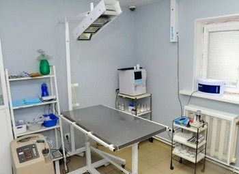 Ветеринарная клиника в центре у новых застроек