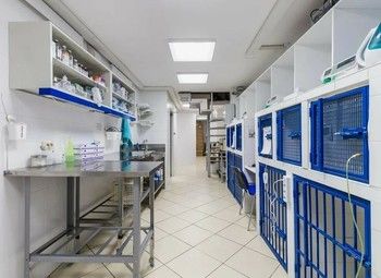 Фото Ветеринарная клиника в центре у новых застроек