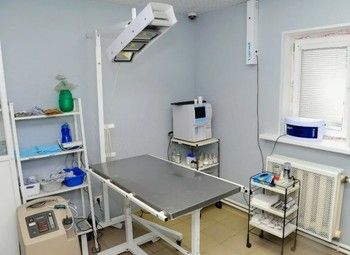 Ветеринарная клиника с сотрудниками 