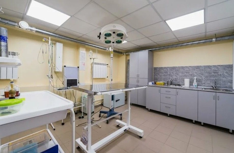 Фото 2 Ветеринарная клиника с сотрудниками