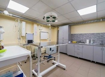 Ветеринарная клиника с сотрудниками 